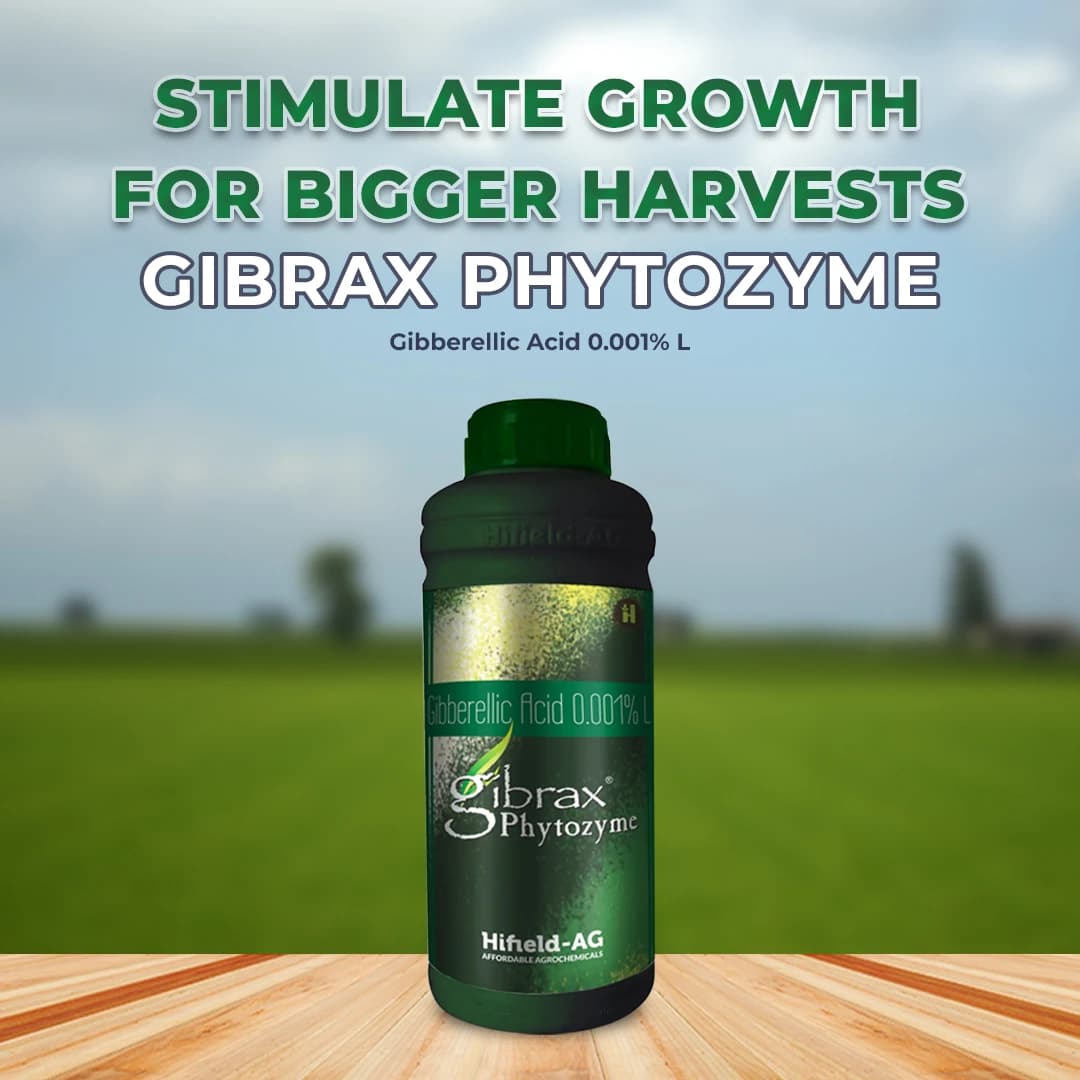 गिब्रैक्स फाइटोज़ाइम (गिब्बेरिलिक एसिड 0.001% एल) - बूंद से सिंचाई और पत्तियों पर छिड़काव के लिए उपयुक्त - Image 2