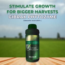 गिब्रैक्स फाइटोज़ाइम (गिब्बेरिलिक एसिड 0.001% एल) - बूंद से सिंचाई और पत्तियों पर छिड़काव के लिए उपयुक्त 2