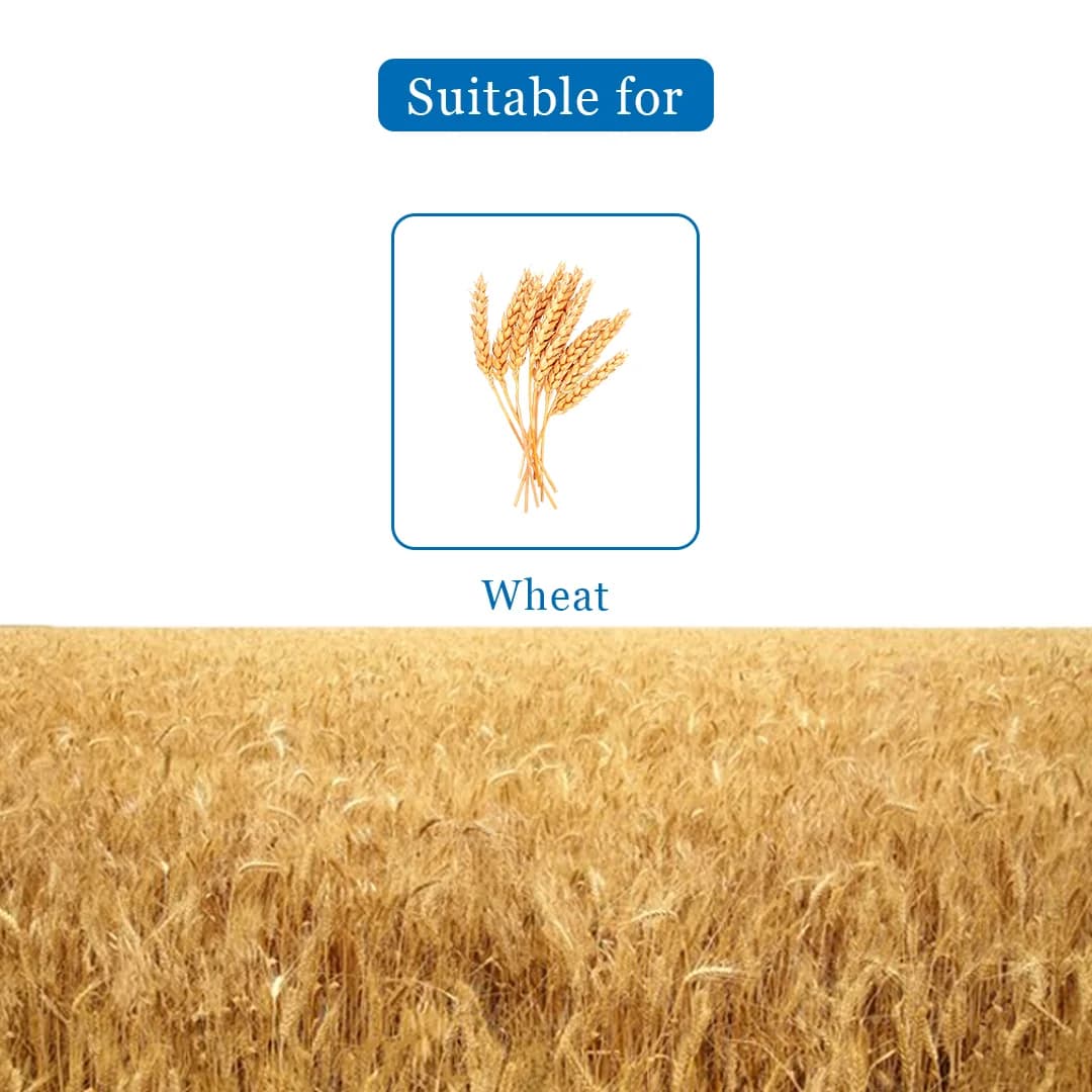 UPL Vesta Clodinafop propargyl 15% + Metsulfuron methyl 1% WP, Post Emergent Herbicide. - Image 4