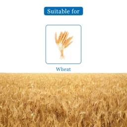 UPL Vesta Clodinafop propargyl 15% + Metsulfuron methyl 1% WP, Post Emergent Herbicide. 4