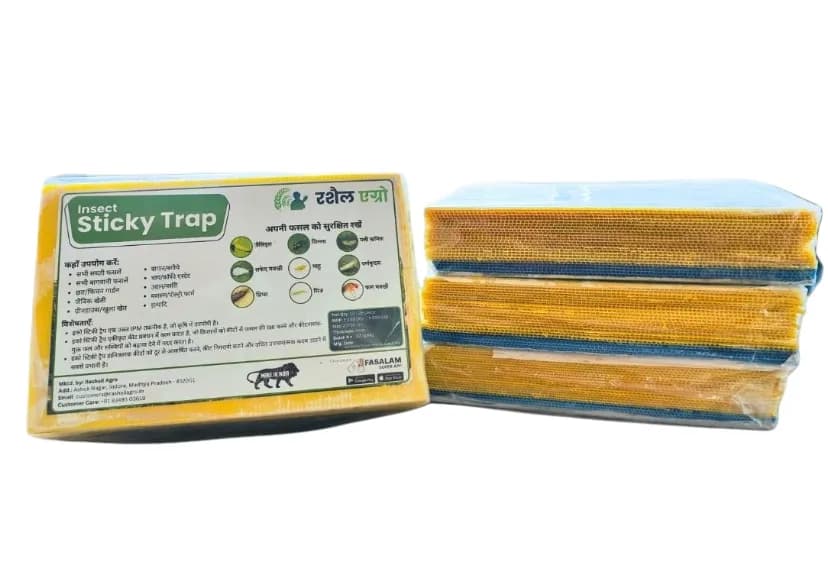 Rashail Insect Stick Trap, IPM Glue Trap - 200 x 300 x 3mm, A4 Size, Combo Of Yellow And Blue Sticky Trap For The Insects (10 Sheets) - Image 1