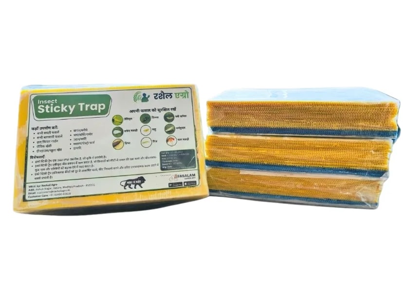 Rashail Insect Stick Trap, IPM Glue Trap - 200 x 300 x 3mm, A4 Size, Combo Of Yellow And Blue Sticky Trap For The Insects (10 Sheets)