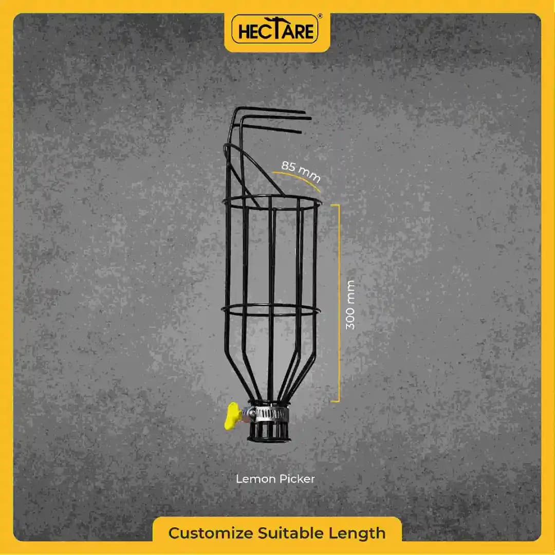 हेक्टेयर फल हार्वेस्टर या लीमोन और अन्य छोटे फलों के लिए पिकर, धातु सामग्री, पाउडर रस्ट प्रूफ कोटेड - Image 3