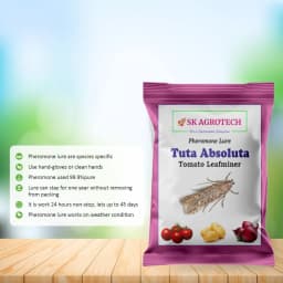 SK Agrotech Tuta Absoluta Tomato Leafminer Pheromone Trap With Lure - Effective Pest Control For Tomatoes 4