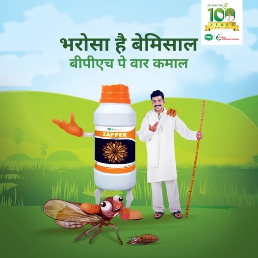Swal ZAPPER Pymetrozine 50% WG Insecticide, Effective For Brown Plant Hopper Control In Paddy