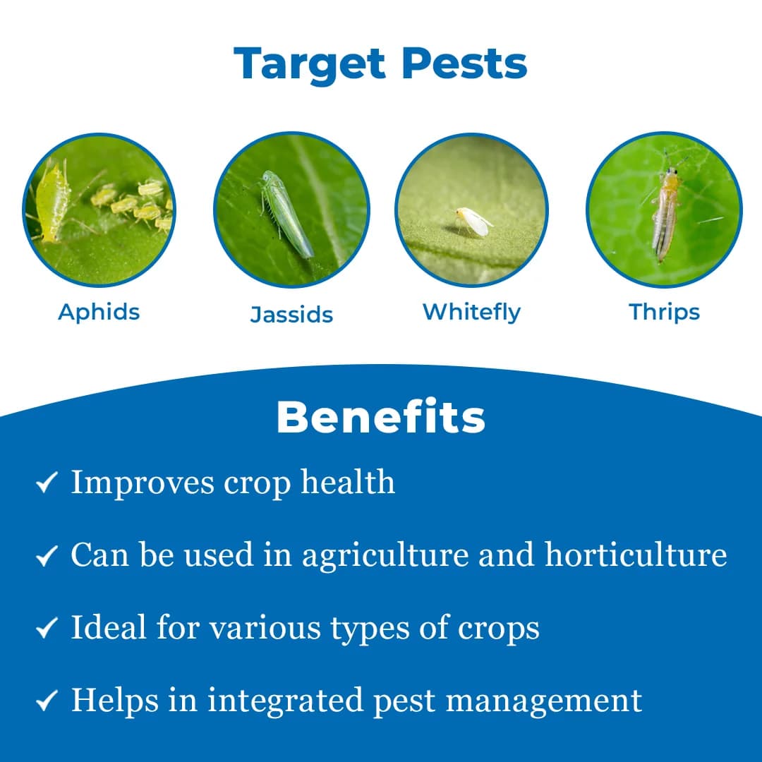 Thiolt-30 Insecticide - Thiamethoxam 30% FS - Image 3