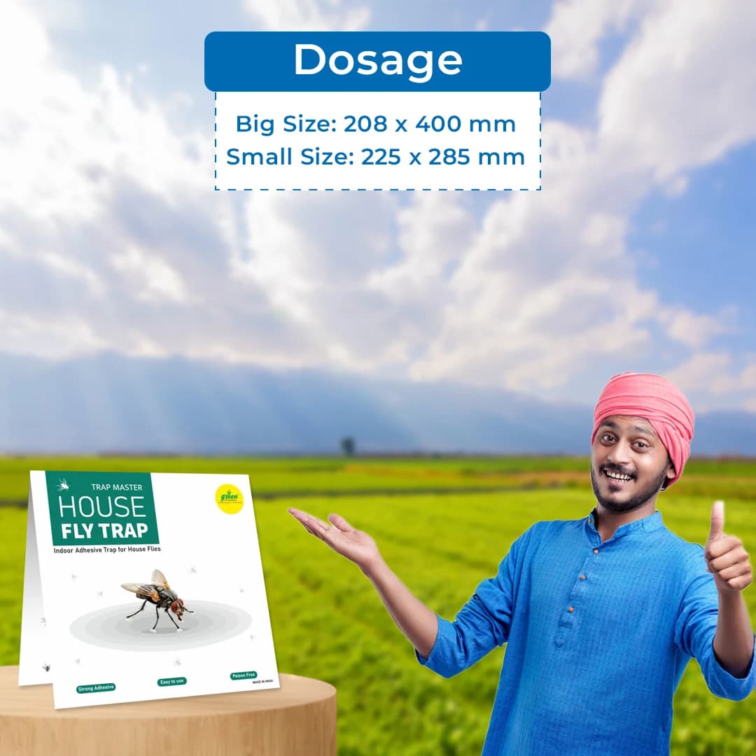 Green Revolution House Fly Trap (Pack of 10) Glue Trap, Insect Trap For Housefly, Poultry Flies, Sticky Paper - Image 5