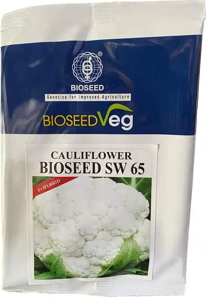 Bioseed SW 65 Cauliflower F1 Hybrid Seeds, Dome Shaped With Beautiful White Color - Image 2
