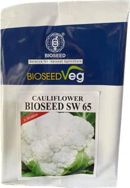 Bioseed SW 65 Cauliflower F1 Hybrid Seeds, Dome Shaped With Beautiful White Color 2