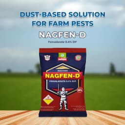 Multiplex Nagfen-D Fenvalerate 0.4% DP Insecticides, Highly Useful for Control of Termites in Agriculture 2