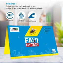 हेडो हाउस फ्लाई ट्रैप (10 के पैक) गोंद वाला जाल, हाउसफ्लाई और कीटों के लिए, घर, रसोई, होटलों, बेकरी की दुकानों और मुर्गी फार्म में उपयोगी 4