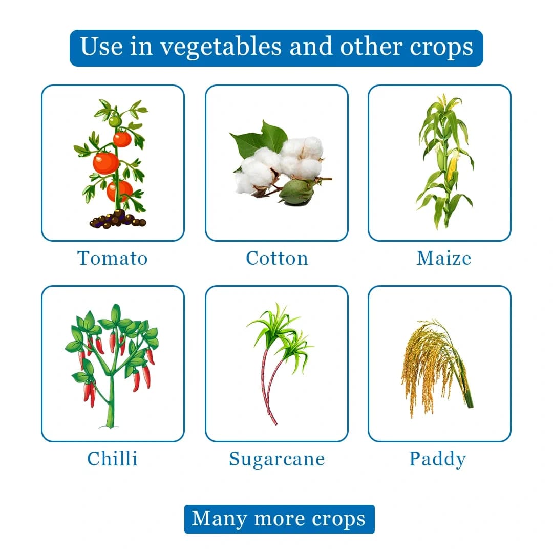 Agriventure Azodifen Fungicide - Image 4