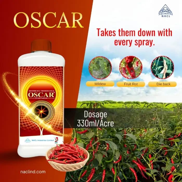NACL OSCAR Azoxystrobin 120 GL + Tebuconazole 240 GL SC Fungicide, Broad-Spectrum, Long-Lasting Disease Control In Crop - Image 3