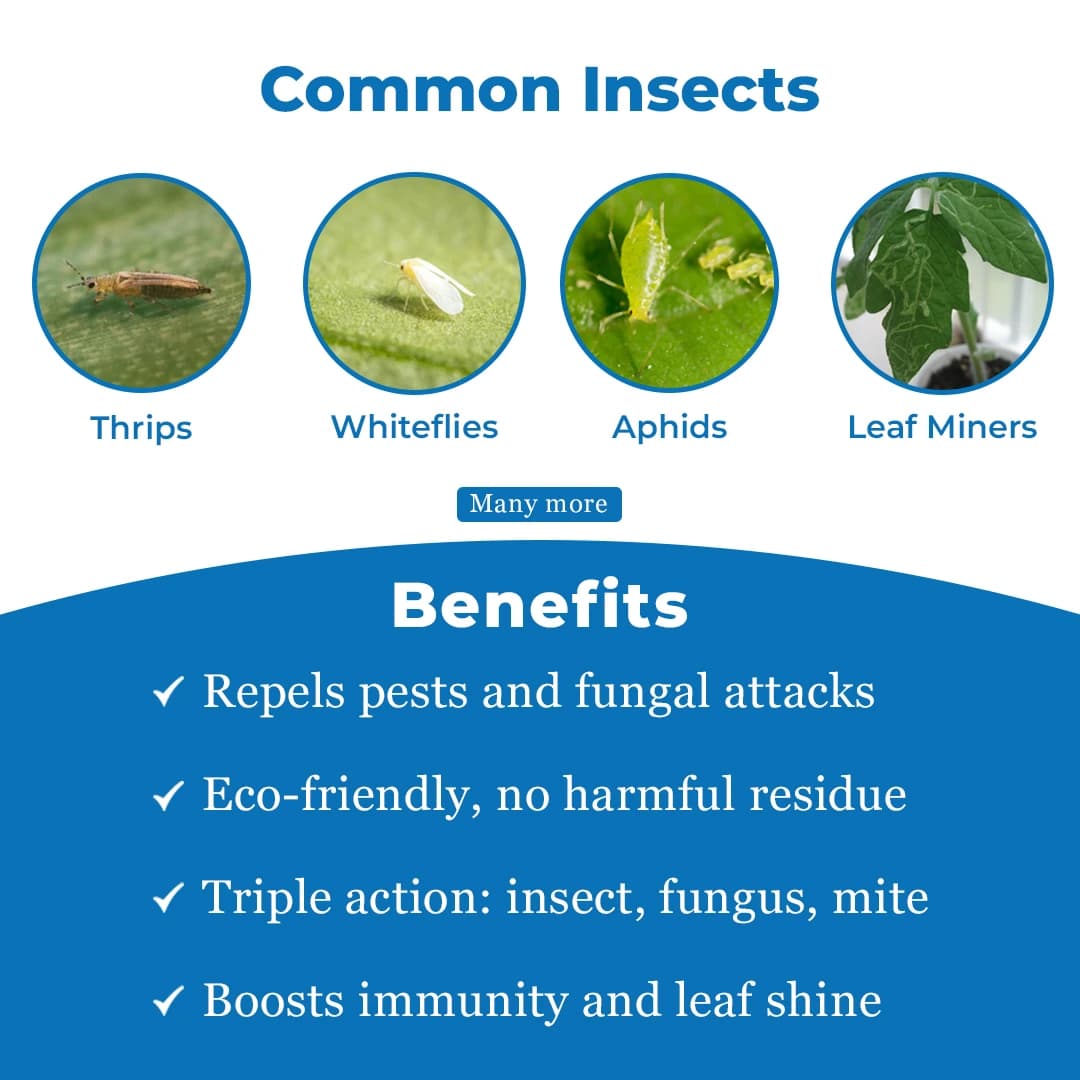 Aquarius Neem Booster Azadirachtin 0.15% min 1500 PPM Insecticide, Effective In All Types Of Crops - Image 3