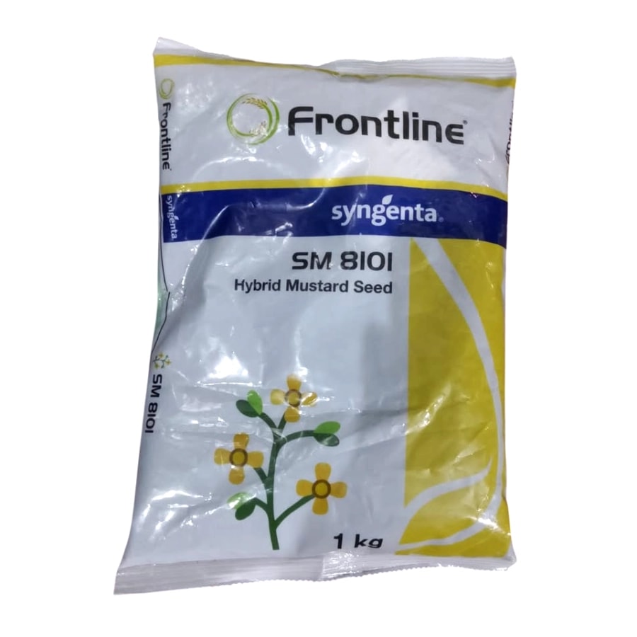 Syngenta SM 8101 Mustard Seeds