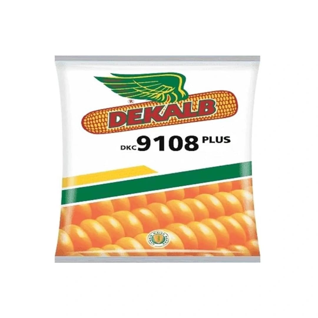 Bayer Dekalb DKC 9108 Plus Makka Seeds - Maize Seeds - Image 1