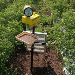 V-SAR Smart Radar Solar Light, 360 Degree Rotating Light With Insect Trap, Waterproof, 15W Panel And Siren Alarm 4