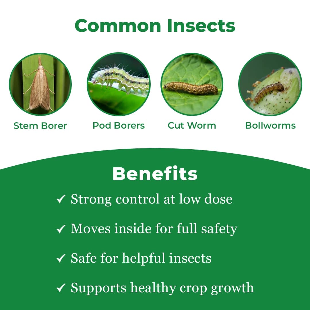 GSP Helipro Insecticide - Chlorantraniliprole 18.5% SC - Image 3