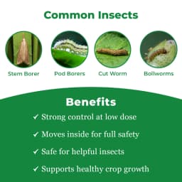 GSP Helipro Insecticide - Chlorantraniliprole 18.5% SC 3