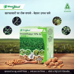 Adama WeedBlock Imazethapyr 10% SL Herbicide, Use for Grassy Weeds in Soybean & Groundnut. 2