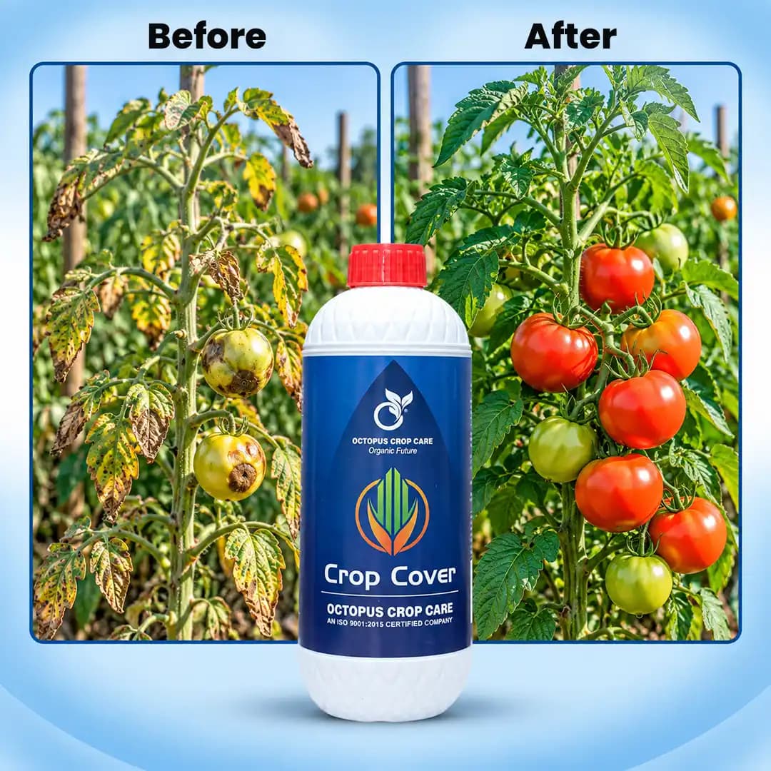 Octopus Crop Cover Fungicide - Hydrogen Peroxide + Nano Silver - Image 4