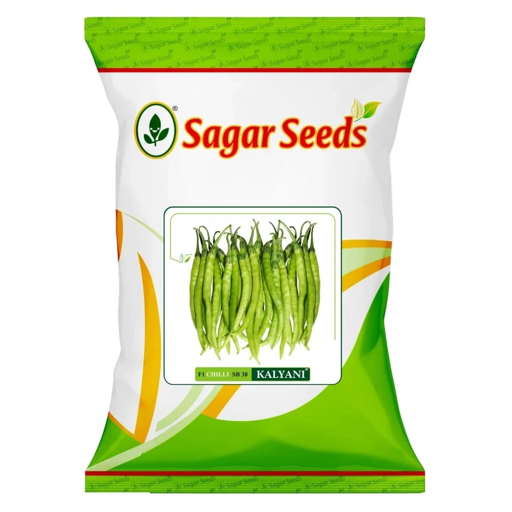 Sagar Kalyani F1 Hybrid Chilli Seeds, Parrot Green, High Yield, Medium Pungency - Image 1