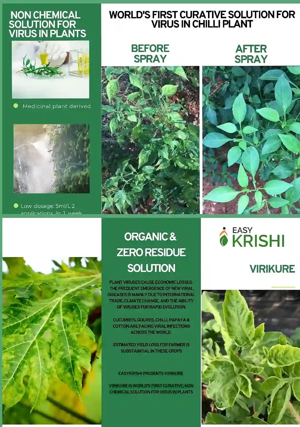 Easykrishi Virikure, Virucide For All Crops, Effective Anti-Viral Product To Protect Crops. from All types of Viral Diseases VIRICIDE