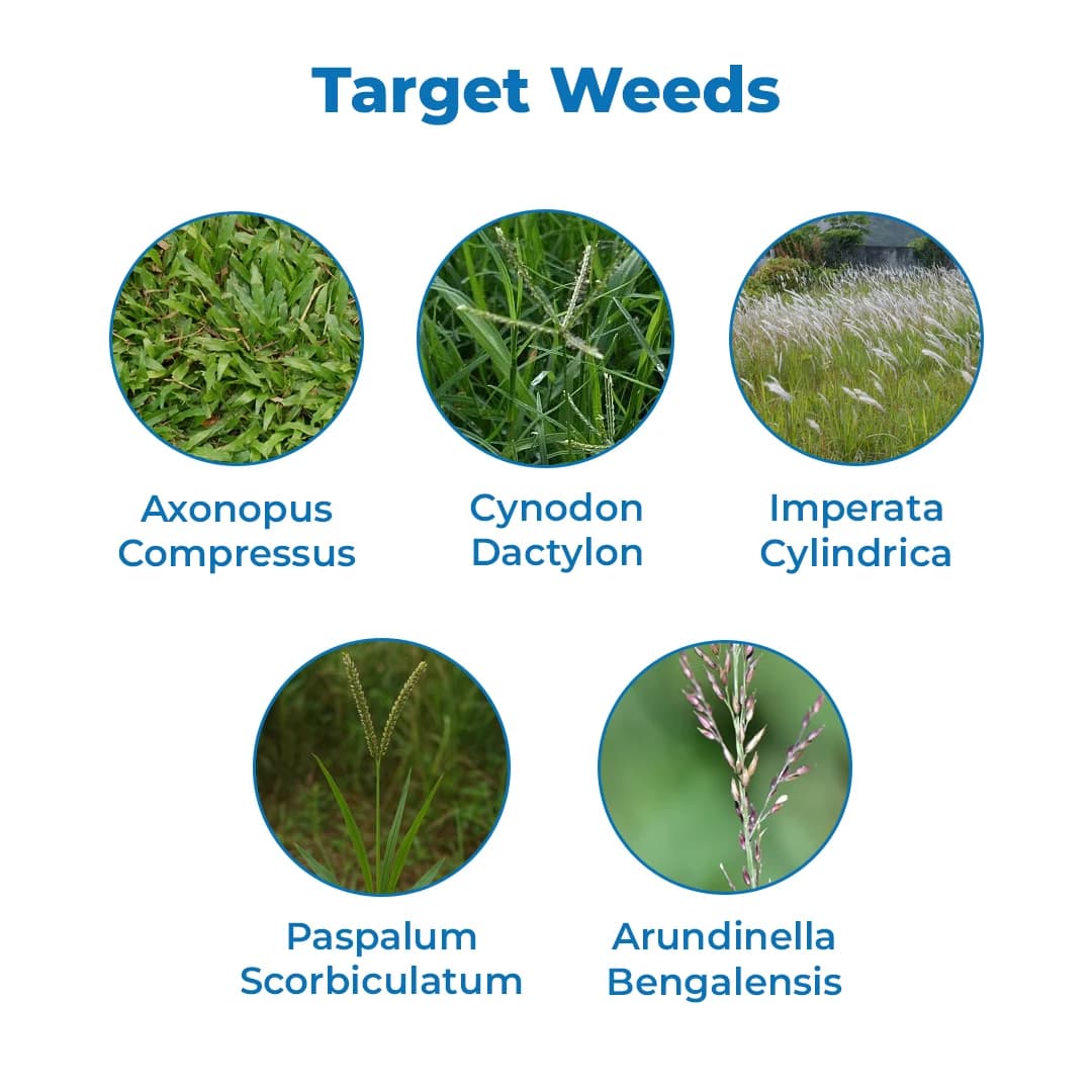 Krishigiri GLYTHOR 41 Glyphosate 41% SL Non Selective Herbicide - Image 3