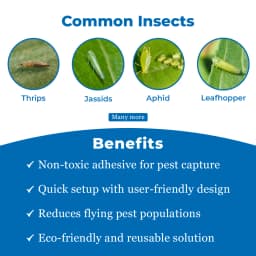 Chipku A5 Yellow & Blue Sticky Trap For Insects, For Garden & Agriculture To Control Whiteflies, Aphids, Thrips, Jassids 3