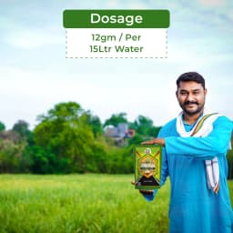 EBS Bhoogol Tricyclazole 75% WP Fungicide, Controls Rice Blast Disease And Inhibits Fungal Growth By Disrupting Melanin Production 5