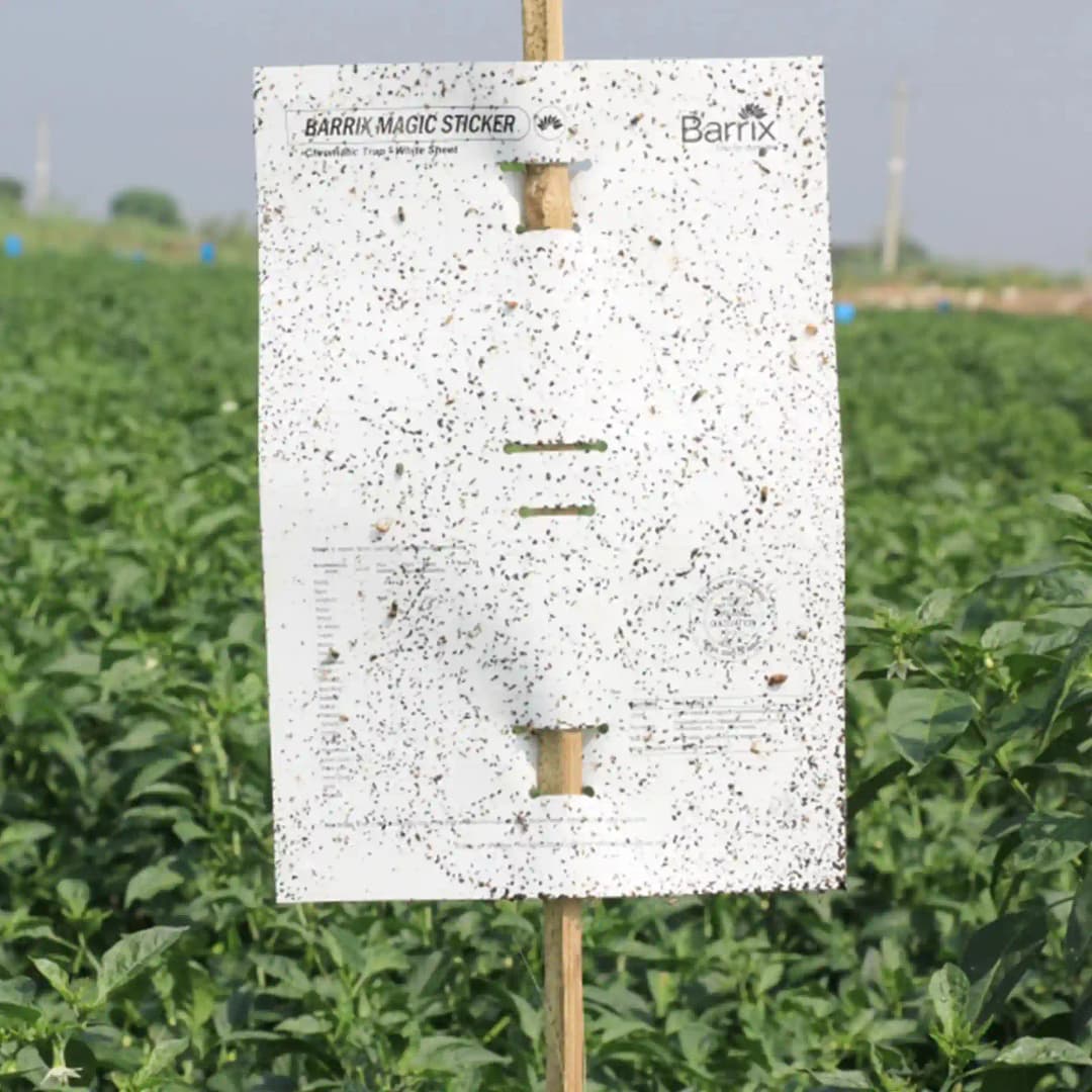 बैरिक्स मैजिक स्टिकर - सफेद शीट, न सूखने वाली, न फीकी पड़ने वाली, न टपकने वाली। - Image 4