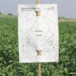 बैरिक्स मैजिक स्टिकर - सफेद शीट, न सूखने वाली, न फीकी पड़ने वाली, न टपकने वाली। 4