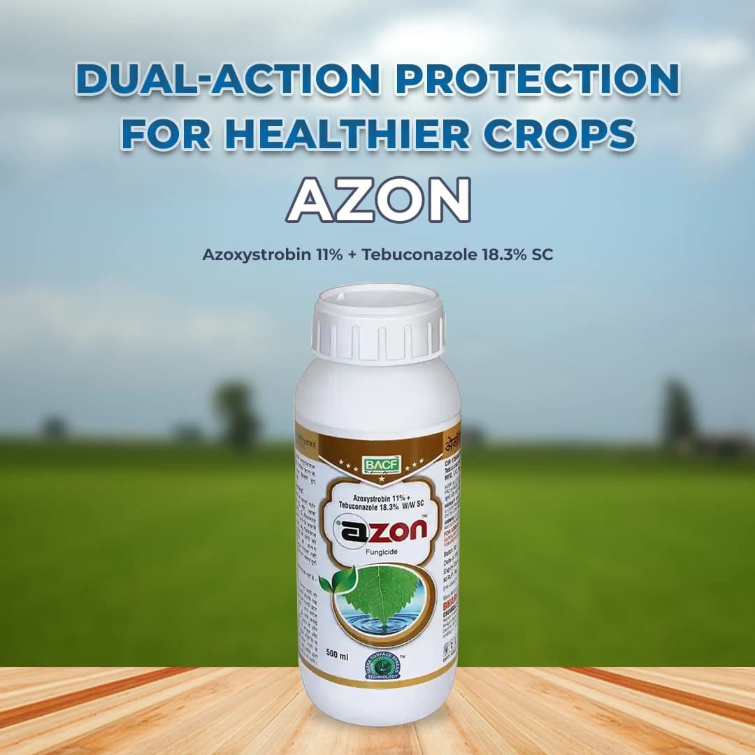 BACF Azon Azoxystrobin 11% + Tebuconazole 18.3% SC Systemic and Contact Fungicides - Image 2