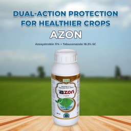 BACF Azon Azoxystrobin 11% + Tebuconazole 18.3% SC Systemic and Contact Fungicides 2