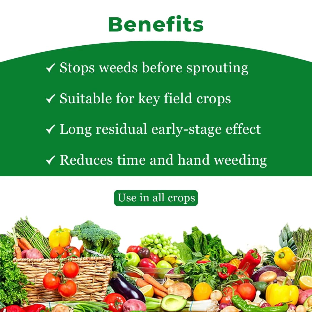 GSP Pendifix Pendimethalin 30% EC, Pre-Emergence Selective Herbicide For Major Crop - Image 4