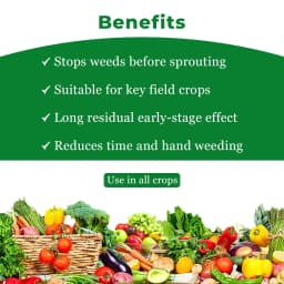 जीएसपी पेंडिफ़िक्स पेंडिमेथालिन 30% ईसी, प्रमुख फसलों के लिए प्री-इमर्जेंस चयनात्मक खरतपरवारनाशक 4