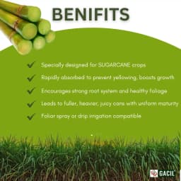 Sugarcane Special Liquid Micronutrient Mixture Fertilizer Enriched with Essential Micronutrients like Zinc, Ferrous, Boron, Copper And Manganese. 3
