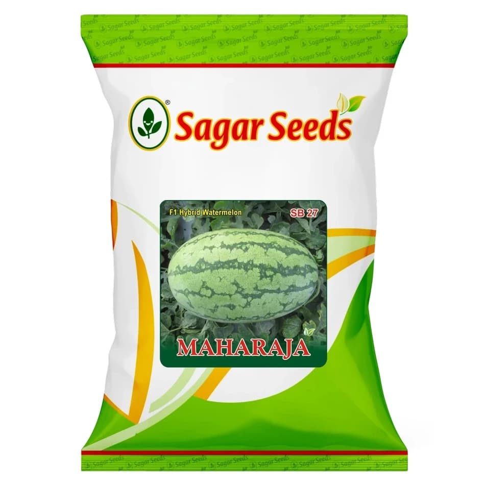Sagar Maharaja F1 Hybrid Watermelon Seeds, High Yield, Suitable For Round The Year Cultivation - Image 1