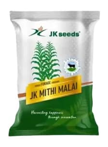JK Seeds JK Mithi Malai Hybrid Forage Sorghum High Yield Sweet Fodder Seeds - Image 1