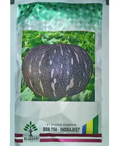 Kalash Pumpkin Bss 750 Indrajeet Hybrid Seeds, Flat Round Shape, Green with White Dots - Image 2