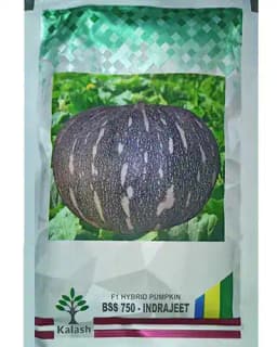 Kalash Pumpkin Bss 750 Indrajeet Hybrid Seeds, Flat Round Shape, Green with White Dots 2