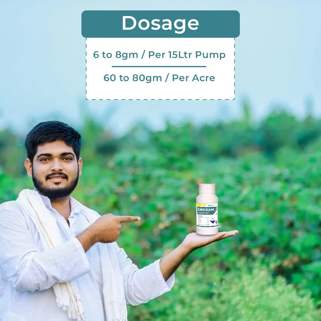 Emoxam - Emamectin Benzoate 3% + Thiamethoxam 12% WG - Image 5