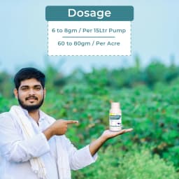 Emoxam - Emamectin Benzoate 3% + Thiamethoxam 12% WG, Powder Insecticide for Plants. 5