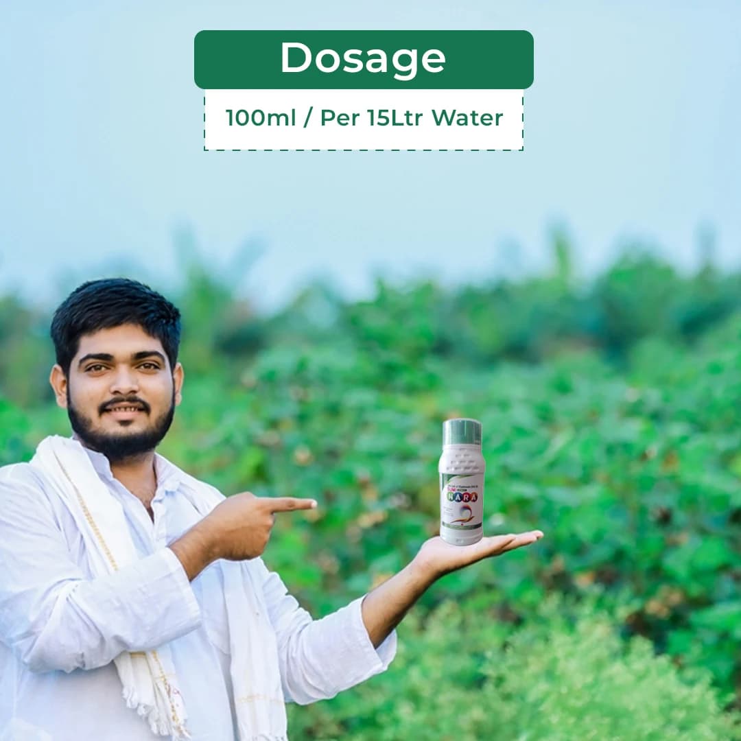 Sumi Nara Herbicide Glyphosate 54% SL Non Selective Systemic Herbicide with Rapid Translocation - Image 5