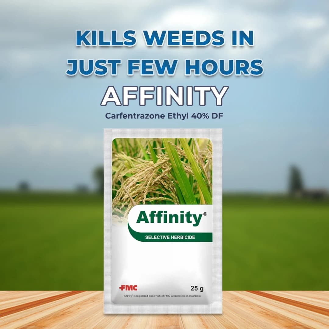 FMC Affinity Carfentrazone Ethyl 40% DF Herbicide, Broad Spectrum Control On Weeds - Image 2