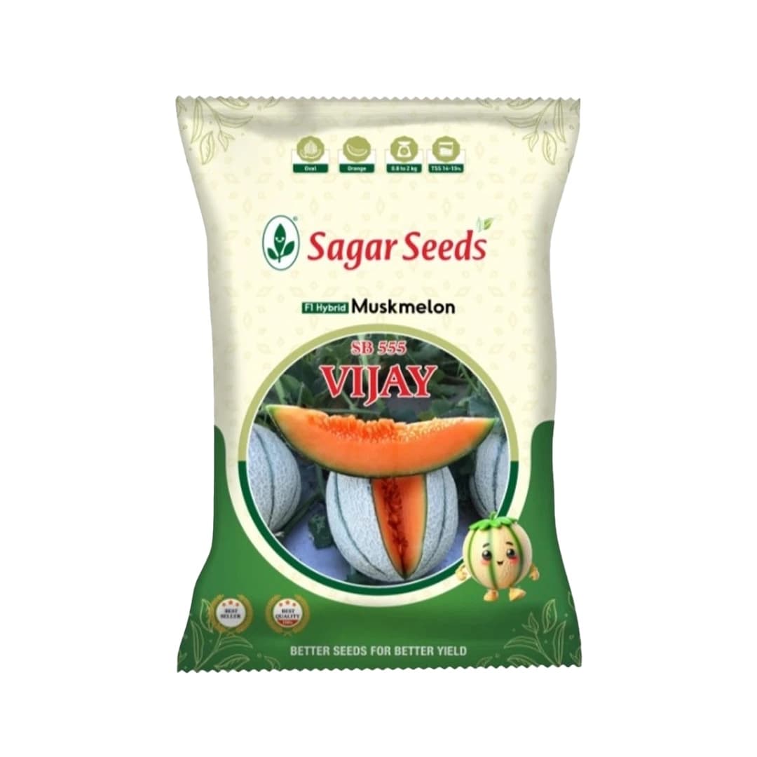 Sagar Vijay F1 Muskmelon Seeds, Superior Quality, High Yielding Variety With Uniform Fruit Size
