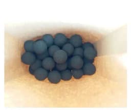 Seed Balls Just Throw & Grow (Alibizia Lebbeck, Vagai Tree, Woman Tongue Tree Seed Balls) Tree Seed Balls 1