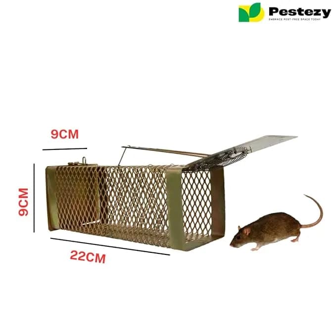 Pestezy Mouse Or Rat Trap Cage, Humane, Durable, Safe And Easy to Use, Cross Design, Allowing For Safe Release - Image 9