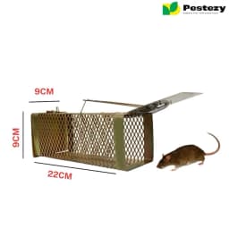 Pestezy Mouse Or Rat Trap Cage, Humane, Durable, Safe And Easy to Use, Cross Design, Allowing For Safe Release 9
