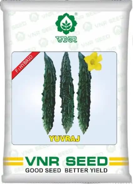 VNR Yuvraj F1 Hybrid Bitter Gourd Seeds, Kerele ke Beej, Super Quality and High Yield - Image 1